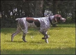 Quel est mon mtier ?