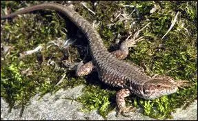 Que se passe-t-il quand je ne suis pas l ?