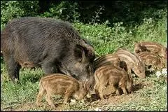 Comment me trouvez-vous ?