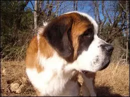 Petit ou grand en quoi puis-je me travestir ?