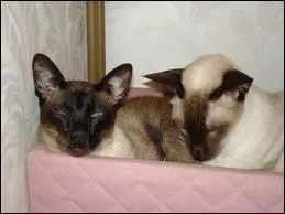 Comment avons-nous t longtemps ?