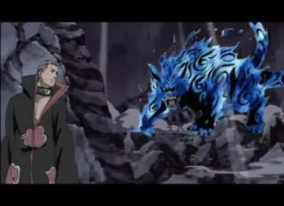 Qui remporte ce combat ? (Nibi vs Hidan)