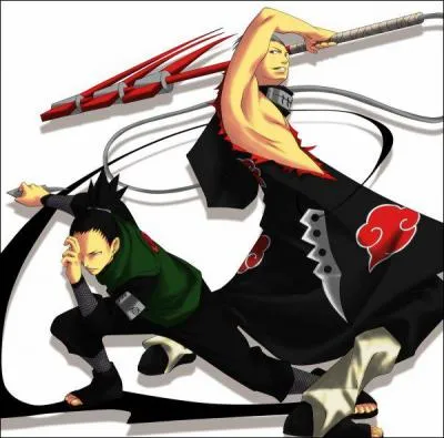 Qui remporte ce combat ? (Shikamaru vs Hidan)
