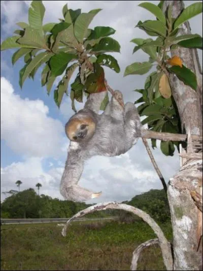 Celui-ci est diffrent, il s'agit de ...