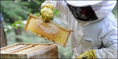 Quels animaux élèvent un apiculteur ?