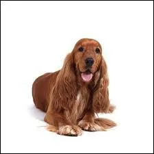 Quel peut bien tre mon mtier ?