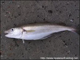 En quoi puis-je me dguiser ?