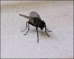 Comment faire pour me prendre ?