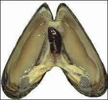 A quoi vais-je me rendre utile ?