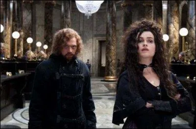 Lors de l'escapade  Gringotts , Ron se dguise en Dragomir Despard, qui est un ami de Bellatrix venu exprs pour voir le nouveau rgime de la Grande-Bretagne. De quel pays Hermione dit-il qu'il vient ?