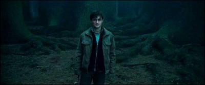 Dans la forêt Interdite, Hagrid est surpris par le fait que Harry se livre à Voldemort et crie. Quel Mangemort le force à se taire avec un coup de baguette magique ?