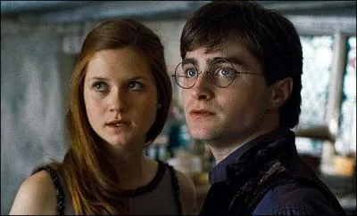 Lors du retour au Terrier , Ginny dit  Harry que Ron et Tonks devaient tre les premiers  revenir , mais qu'ils ont rat leur Portoloin. Quels taient les suivants qui devaient revenir ?