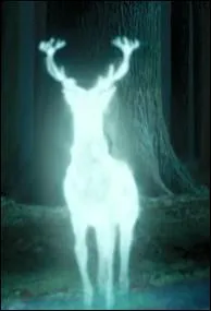 A leur arrive au 12, Square Grimmaurd, Harry, Ron et Hermione reoivent un Patronus de M. Weasley qui leur donne des nouvelles aprs la bataille au mariage de Bill et Fleur. Que leur dit-il ?