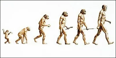 Qui est le père de "La Théorie de l'évolution" ?
