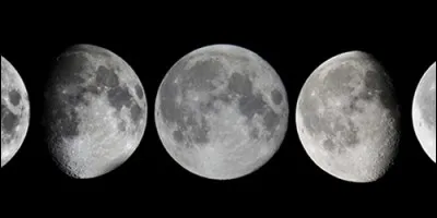 Comment s'appelle l'intervalle de temps séparant deux nouvelles Lunes ?