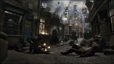 En ces temps de troubles, il y a beaucoup de marchands illgaux sur le Chemin de Traverse. Que vendait un de ceux-ci lorsque les Weasley, Harry et Hermione sont alls acheter les nouvelles fournitures ?