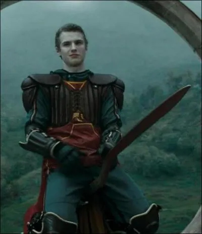 Dans le cinquime tome, Cormac McLaggen n'a pas pu passer les slections de l'quipe de Quidditch de Gryffondor car il se trouvait  l'infirmerie. Qu'avait-il pari pouvoir manger ?
