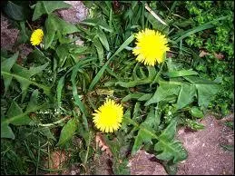 O vais je me cacher ?