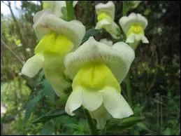 Quel conseil puis-je vous donner ?