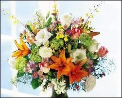 Qu'allons-nous faire sous notre dguisement ?