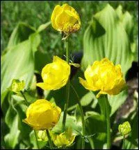 En quoi pouvons-nous nous travestir ?