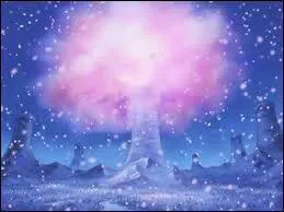 Quel est le nom de l'le ?