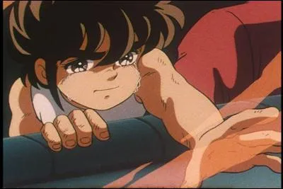 Quel est le vrai prnom de la soeur de Seiya ?