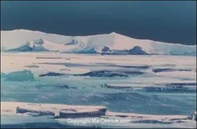 Combien y en a-t-il ?