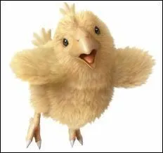 Quel est le nom de ce Chocobo ?