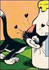 Comment s'appelle ce chat dessin par Peyo (dessinateur des Schtroumpfs) ?