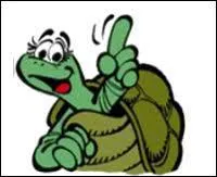 Dans 'Boule & Bill', comment s'appelle la tortue ?