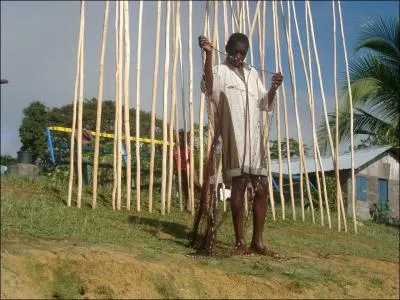 Le takari, cette grande perche amazonienne, sert ...