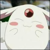 And, last but not least :