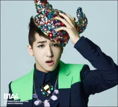 Qui est le rappeur du groupe ?