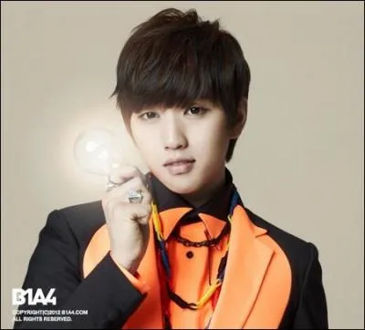 Qui est le chanteur principal ?