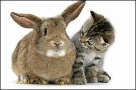 Retourne-t-il toujours au mme endroit pour faire ses besoins naturels ?