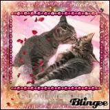 La reproduction est de...