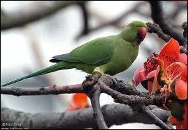 On en voit de plus en plus, par exemple en Ile-de-France !