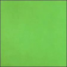 Comment dit-on 'vert' en basque ?