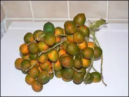 Ce fruit qui pousse en grappes est le :