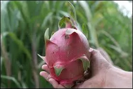 Ce fruit pousse en Guyane mais n'en est pas originaire ...