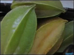 Ca n'a rien  voir avec une galipette !