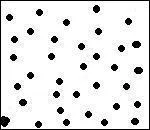 Combien de points noirs voyez-vous ?