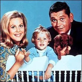 Quel est le titre de cette srie ?