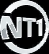 Lequel des dessins anims suivants n'a jamais t diffus sur NT1 ?