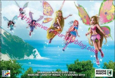 Quelle est leur transformation ?