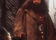 Quiz Quizz Hagrid