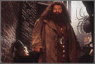 Quelle age a Hagrid dans le film ?