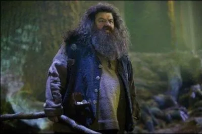 Dans le 4, de qui Hagrid tombe amoureux ?