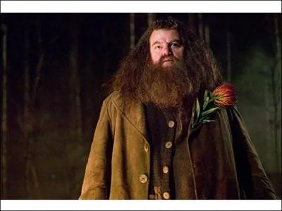 Comment se nomme le dragon qu'il fait naitre chez lui ?